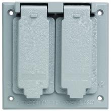 Legrand-Pass & Seymour CA262G - WP 2G TWO DECORATOR COVER